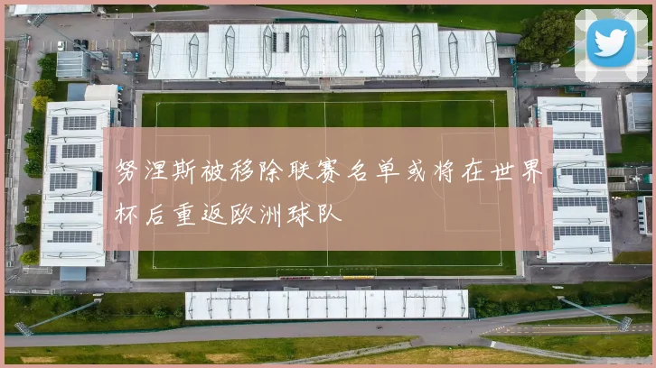 努涅斯被移除联赛名单或将在世界杯后重返欧洲球队