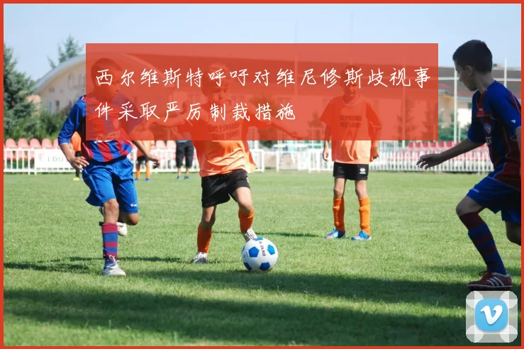 西尔维斯特呼吁对维尼修斯歧视事件采取严厉制裁措施