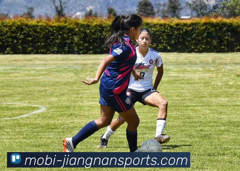 江南体育全站App